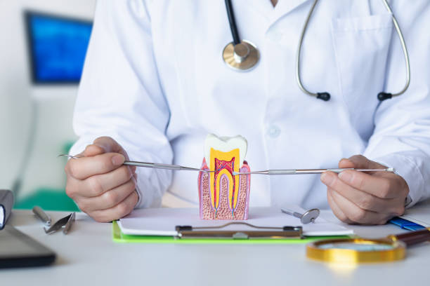 Best Pediatric Emergency Dentist in Radford, VA